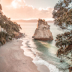 Meet your Posher, Phoebe